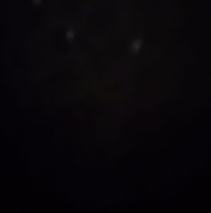 Meet your Posher, Raul